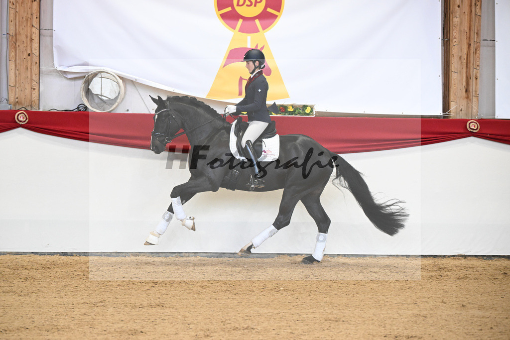 Boccacio_HLG Neustadt_2251383 | hf-fotografie - Realisiert mit Pictrs.com