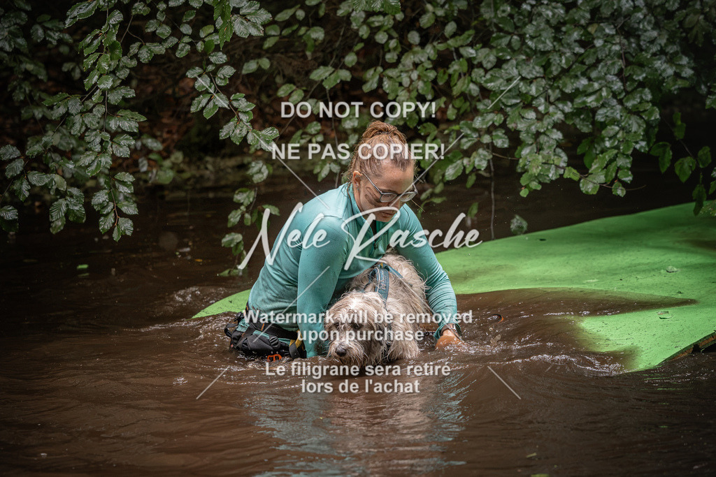 nelerasche_Wingst_Sa1330-1400_178 | nelerasche