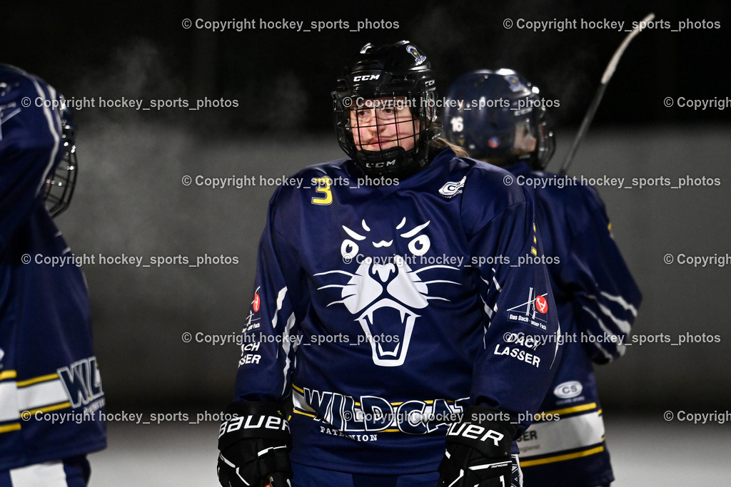 Wildcats Paternion vs. Unicorns Steindorf | #3 Sauerbier Dana Kiara WILDCATS PATERNION, Wildcats Paternion vs. Unicorns Steindorf, Wildcats Paternion vs. Unicorns Steindorf am 02.01.2026 in Paternion (Eislaufplatz Paternion), Austria, (Photo by Bernd Stefan)