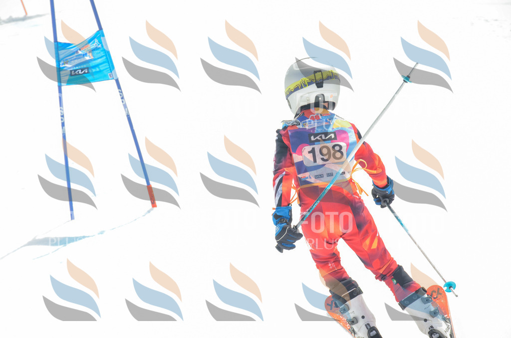 _ELE6887 | holidayphoto