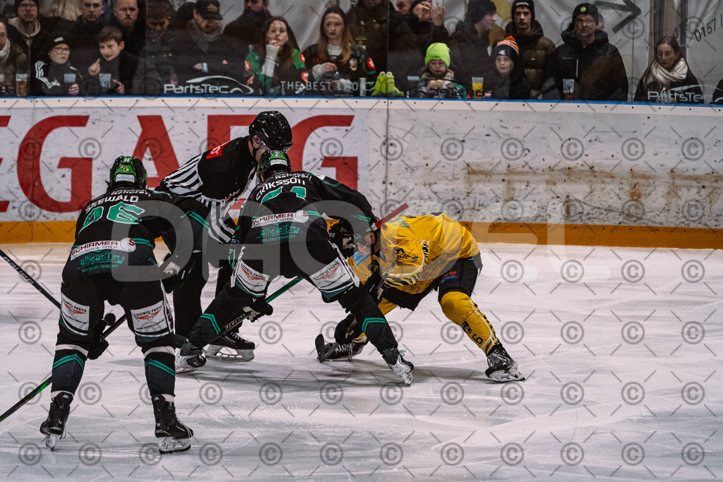 Alligators_vs_Bayreuth_16_01_2026-19 | Höchstadt Alligators Fotogalerie: Eishockey-Action aus Franken. Professionelle Spielfotos, Portraits & Stadionbilder zum Download. Jetzt entdecken! - Realized with Pictrs.com