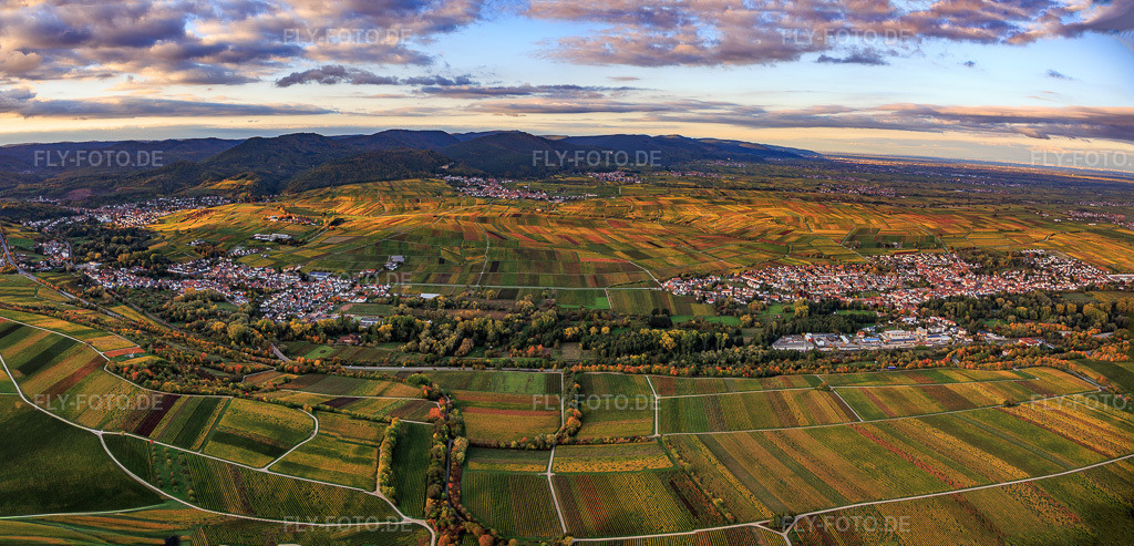 Luftbild: Herbstlich gefärbtes Rebenmeer zwischen Siebeldingen, Godramstein und Frankweiler in Siebeldingen im Bundesland Rheinland-Pfalz in Deutschland. Foto: IMG_150339-Pano.jpg vom 15.10.2025 durch Werner Riehm/FLY-FOTO.deAuflösung des Originals: 8157 x 3924 px