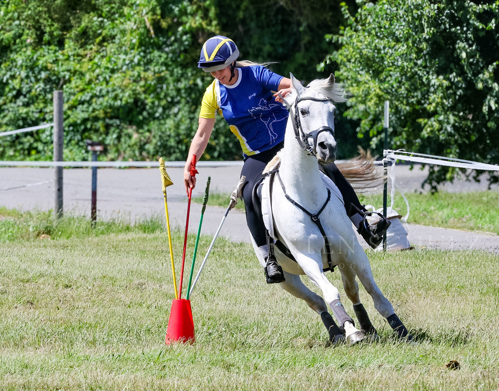 IMG_1630 | Reitsport Reiten