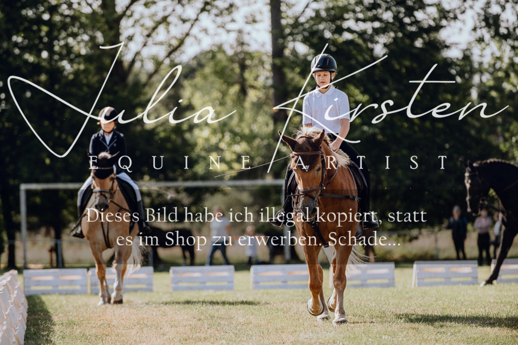 DSC_6888 | Pferde- und Turnierfotografie in Westsachsen. Pferdeportraits, Auftragszeichnungen und intuitive Kunst.