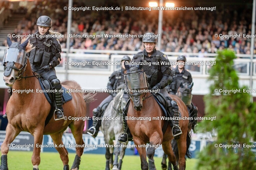 20250606_Lange-Pferdenacht_0767 | Foto: Thomas Hartig