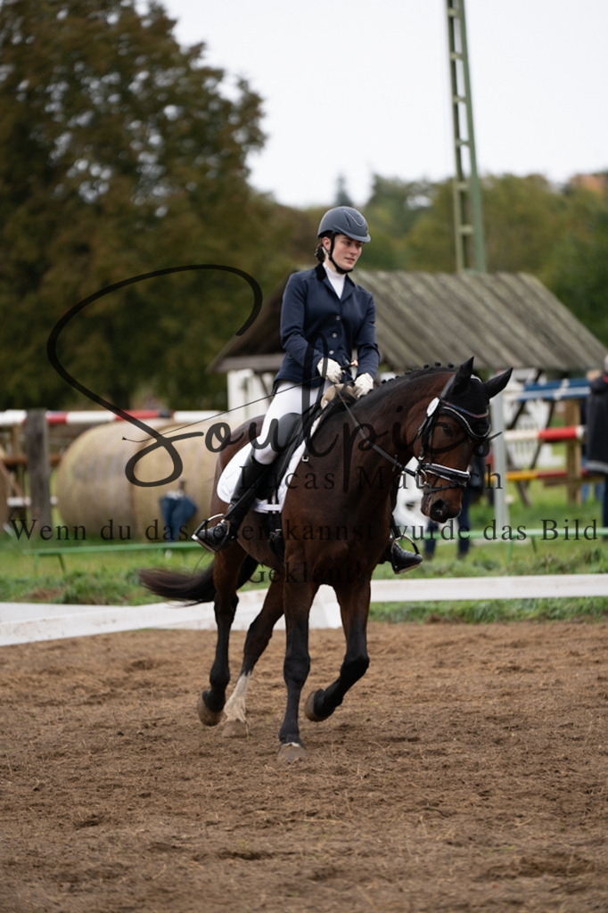 A7V05860 | Pferdefotograf