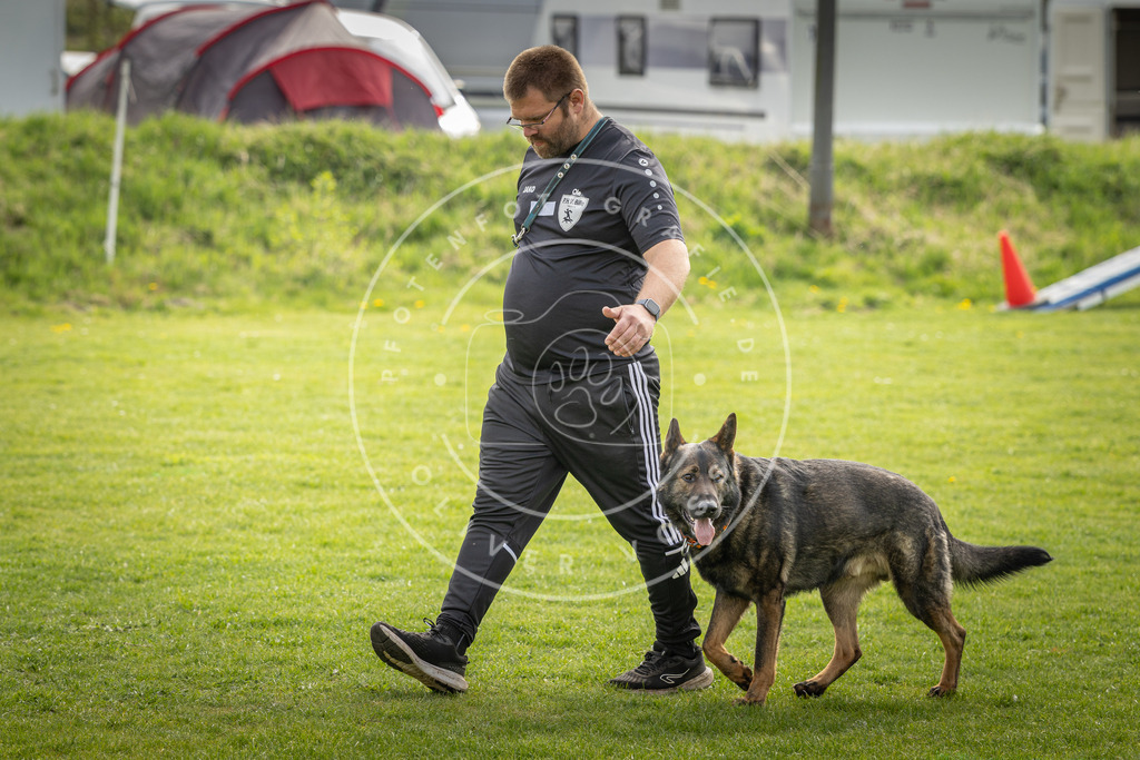 Pfotenfotografie_DV3A5026 | Hundefotografie, Tierfotograf, Pfotenfotografie, Fotoshooting Hund, Hunde Portrait, Hundesport, Hundeportraits, Heideshooting, Hunde, Sportfotograf, Hundefotograf, Turnierhundsport, THS,  - Realisiert mit Pictrs.com