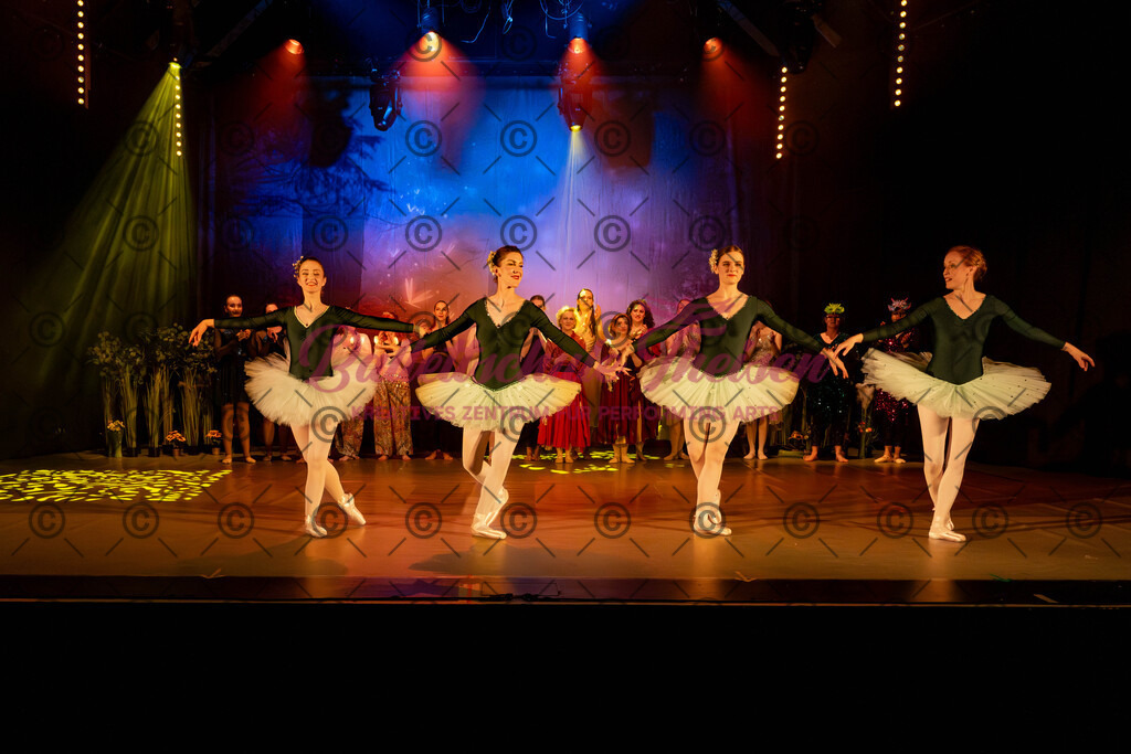 Ballettaufführung-609 | Bildershop Lem'n Entertainment - Realisiert mit Pictrs.com