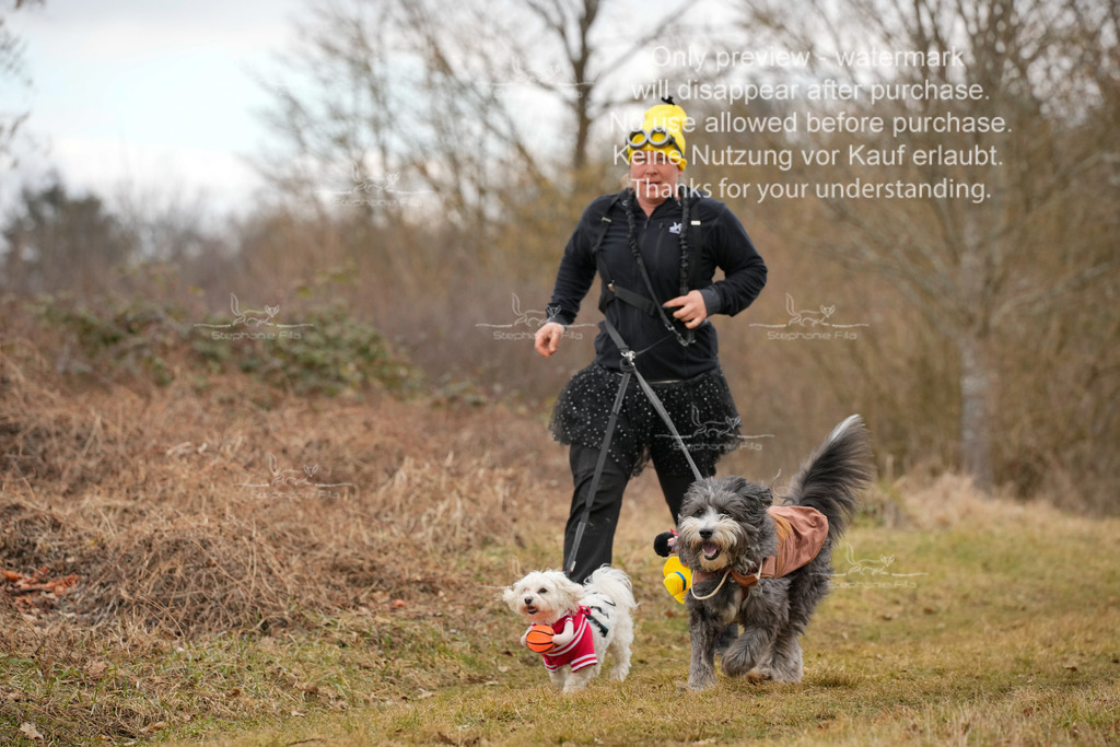 2Fasching-1 | stephaniefillaphotographie - Realisiert mit Pictrs.com