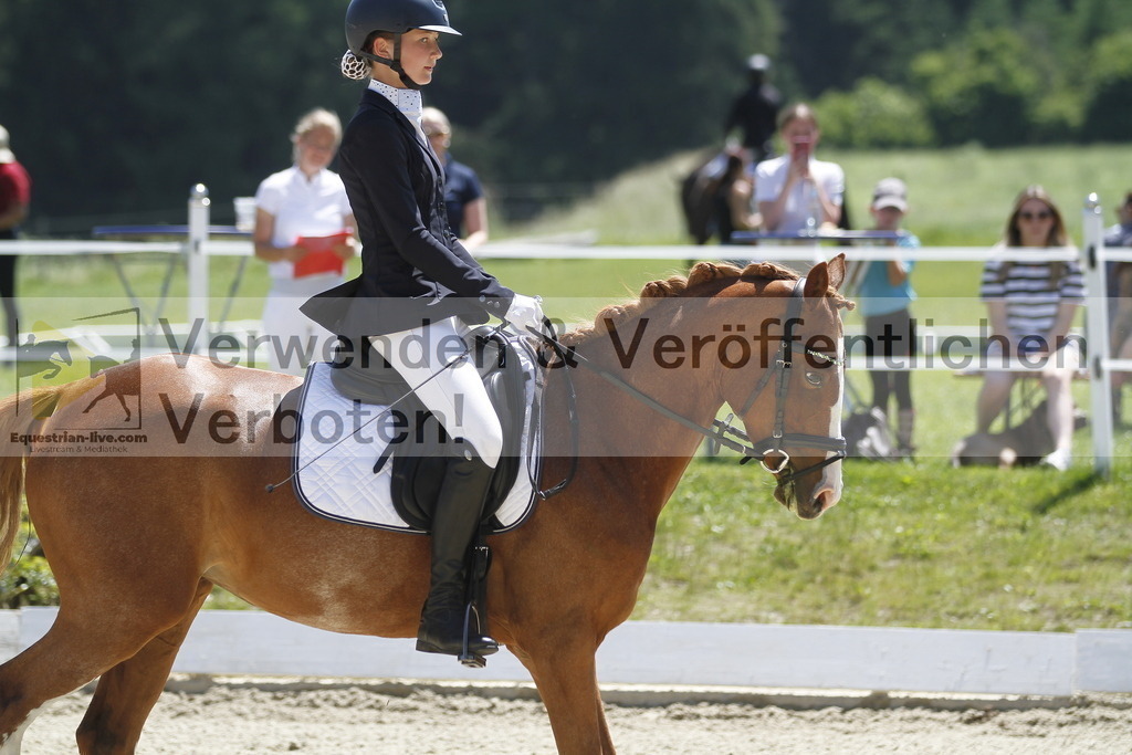_MG_6716 | equestrian-live-com