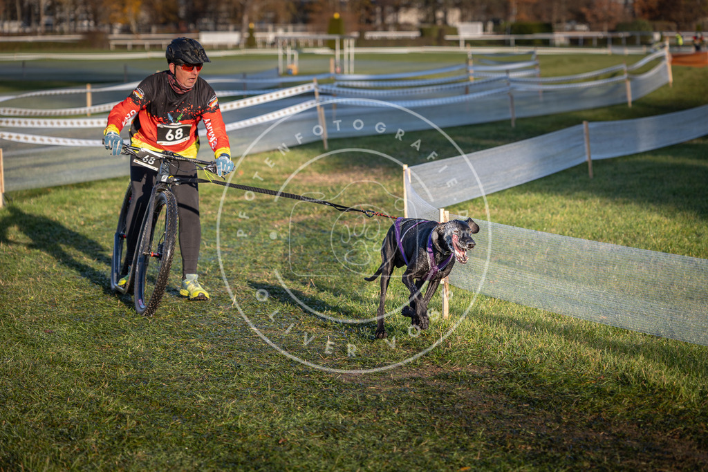CaniXpix_0L8A3280 | Hundefotografie, Tierfotograf, Pfotenfotografie, Fotoshooting Hund, Hunde Portrait, Hundesport, Hundeportraits, Heideshooting, Hunde, Sportfotograf, Hundefotograf, Turnierhundsport, THS,  - Realisiert mit Pictrs.com