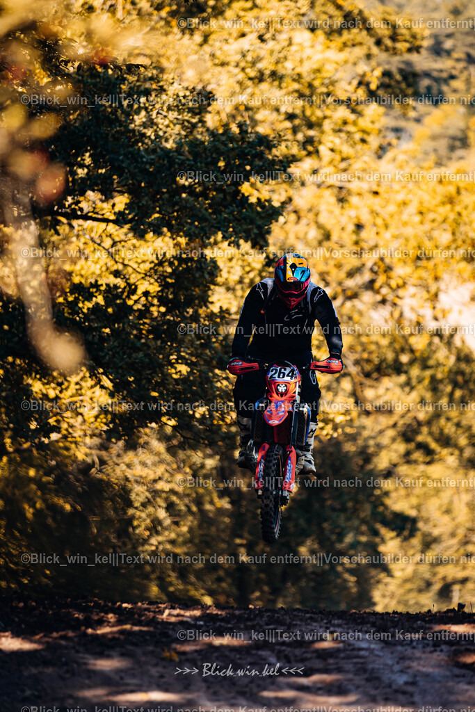 E68A5730 | blick_win_kel