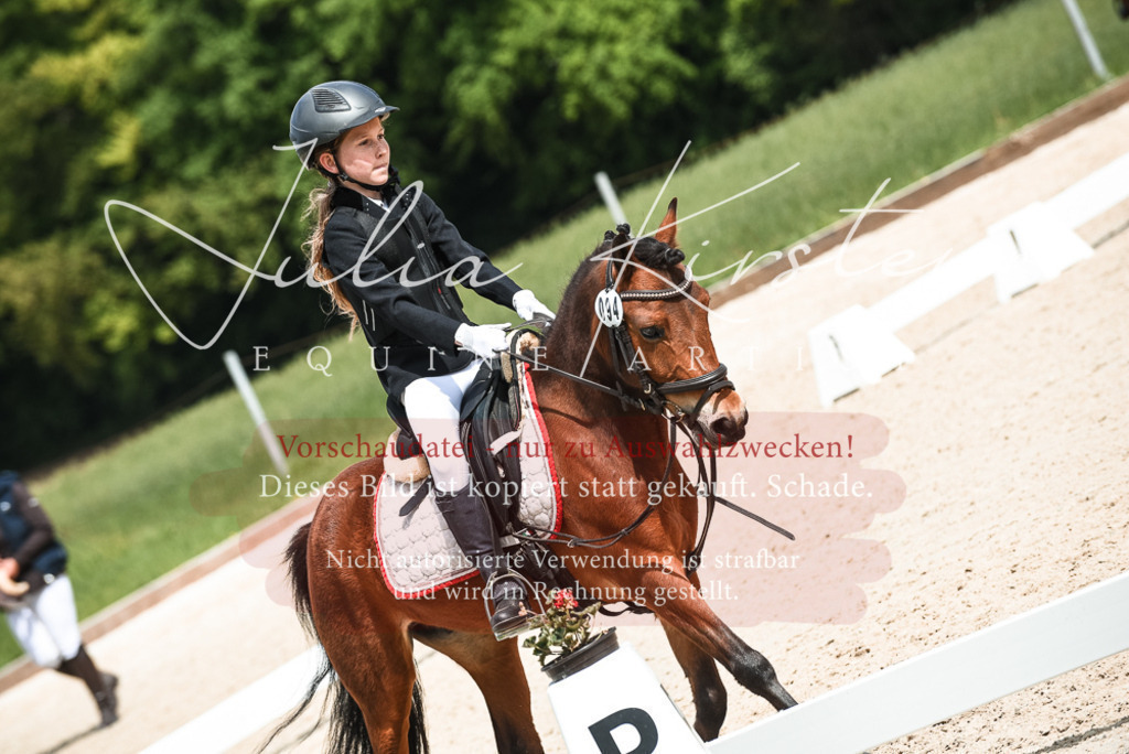20230518_JK-Röhrsdorf-11-0820 | Pferde- und Turnierfotografie in Westsachsen. Pferdeportraits, Auftragszeichnungen und intuitive Kunst.