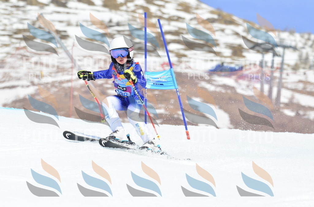 _ELE2510 | holidayphoto