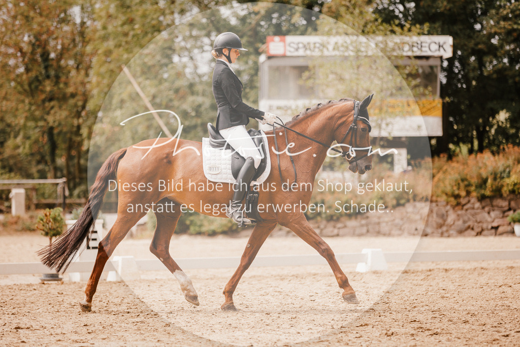 3I6A6204 | Stimmungsvolle Portraits und Reitsportfotografie im Ruhrgebiet und im Münsterland.

Pferdefotografie, Hundefotografie, Tierfotografie, Reportagen, Portraits von Tier und Mensch, Turnierfotografie in Bochum, Recklinghausen, Marl, Haltern am See, Dülmen.. - Realisiert mit Pictrs.com