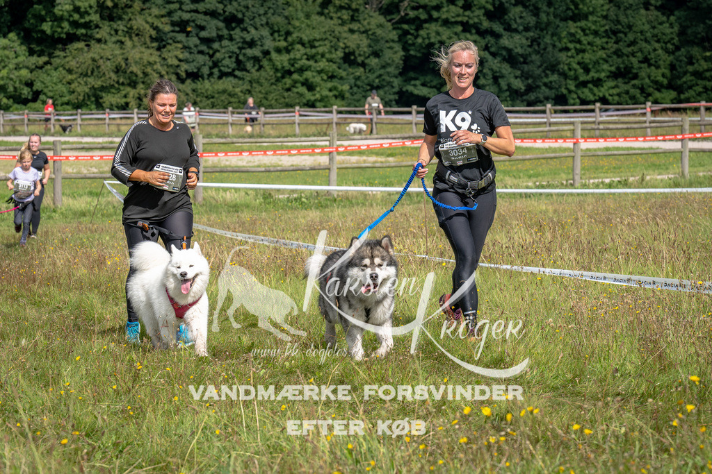 1333_ZZ90120 | kk-dogfotos