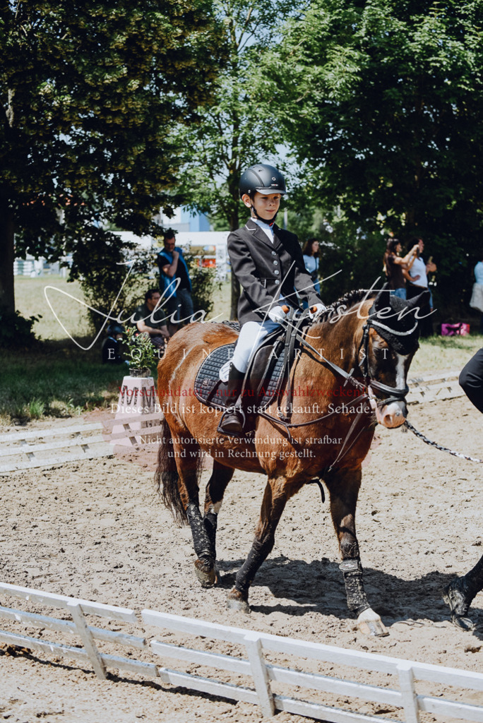 DSC_2177 | Pferde- und Turnierfotografie in Westsachsen. Pferdeportraits, Auftragszeichnungen und intuitive Kunst.