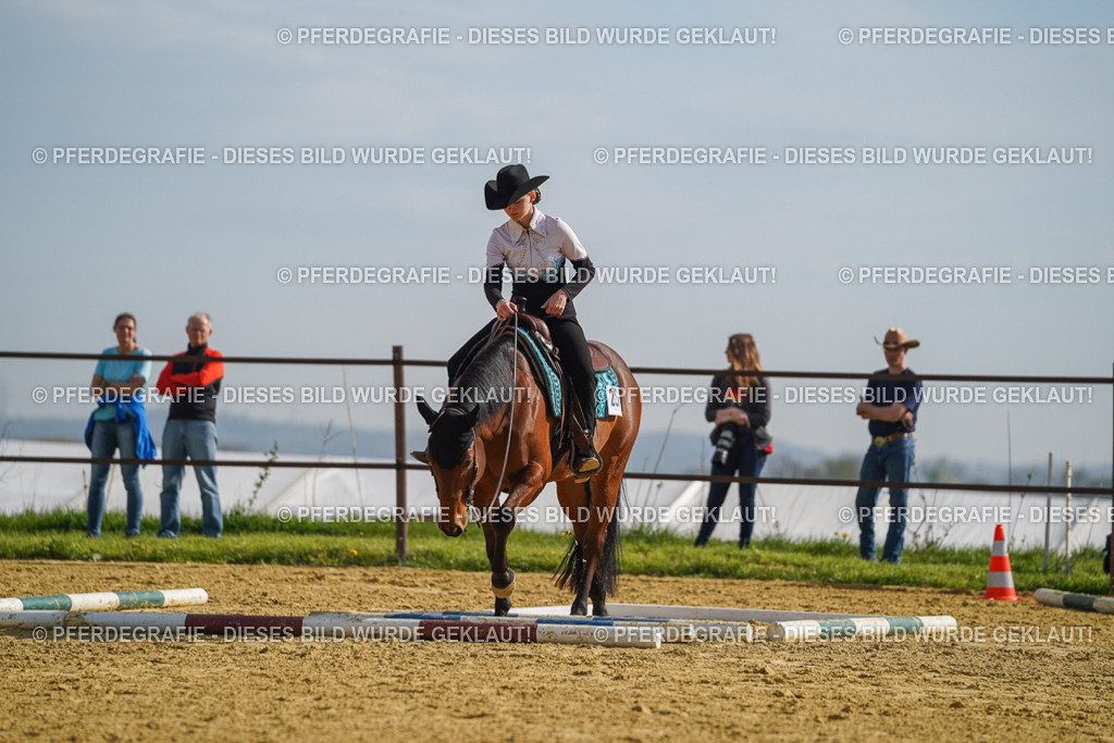 DSC01247 | Pferdegrafie