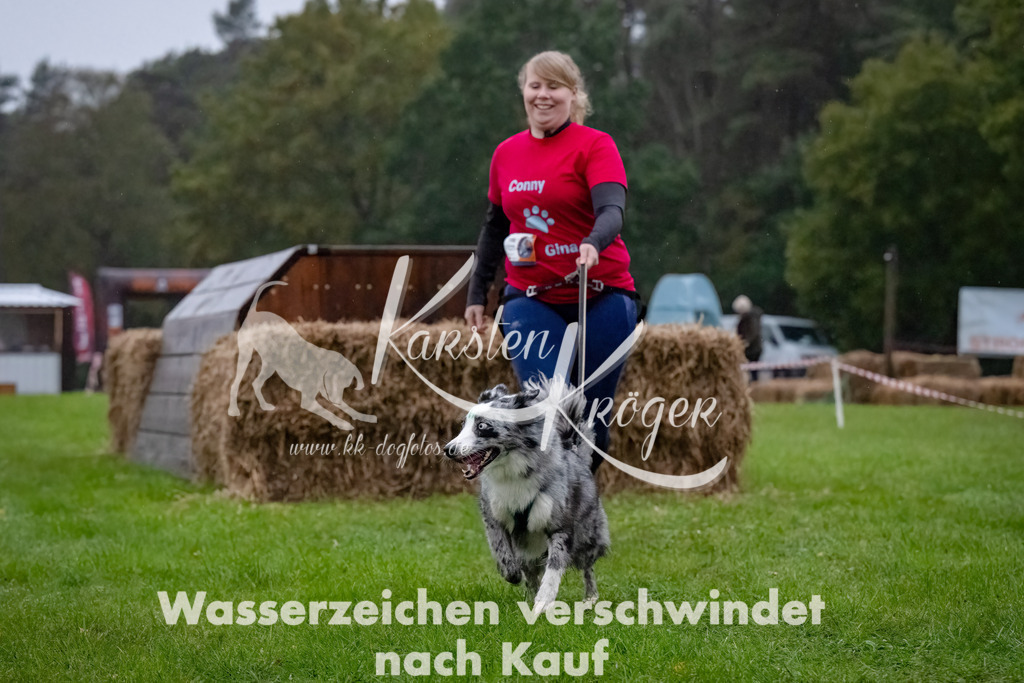 0817-_ZZ90896-Bearbeitet-Bearbeitet | kk-dogfotos