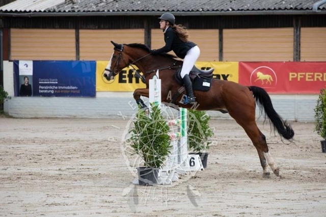 2B4A1615 | pixelfaenger - Realisiert mit Pictrs.com