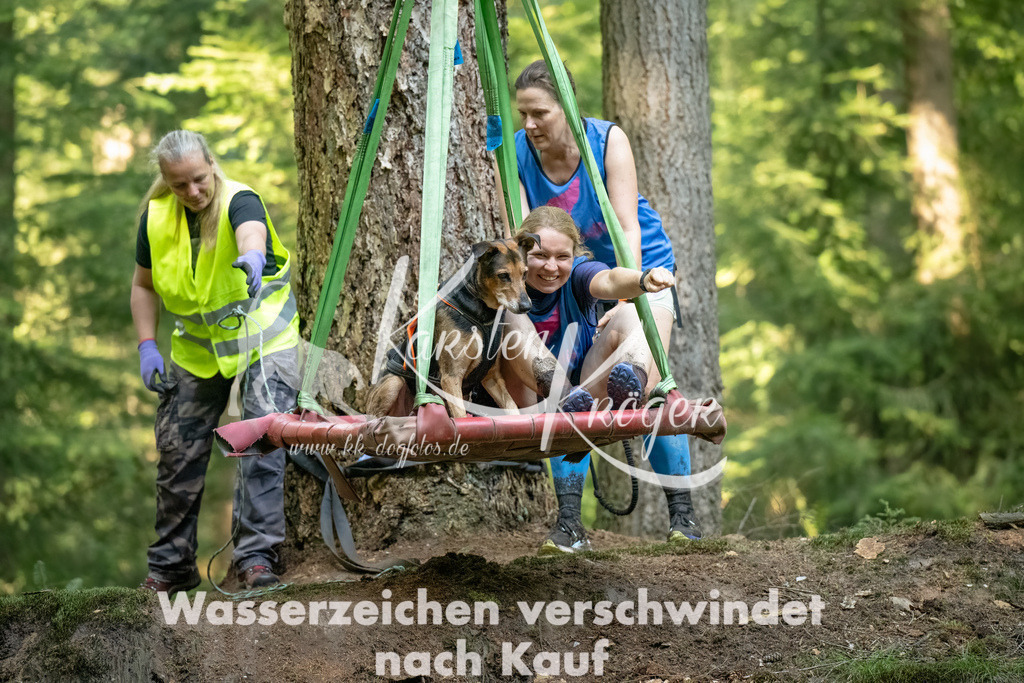 1405_ZZ94391-Bearbeitet-3 | kk-dogfotos
