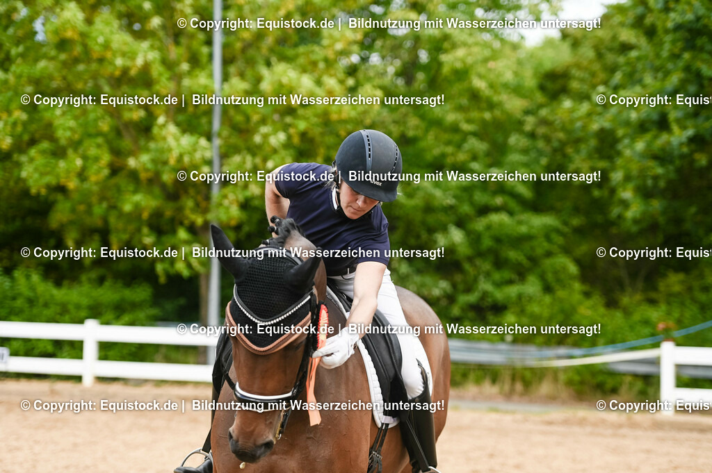 20230716_01_Dressurprüfung Kl.M_0637 | equistock