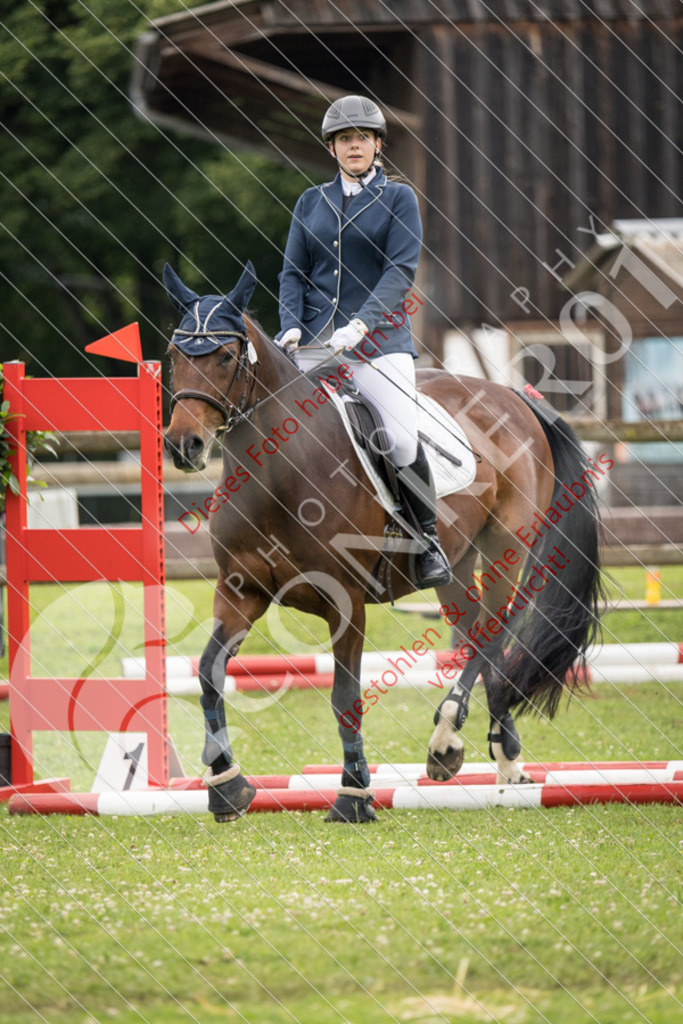 IMG_2648 | Sport-, Event- und Tierfotos in Profiqualität. Einfach auswählen, bestellen und herunterladen. Dein Moment – perfekt festgehalten.