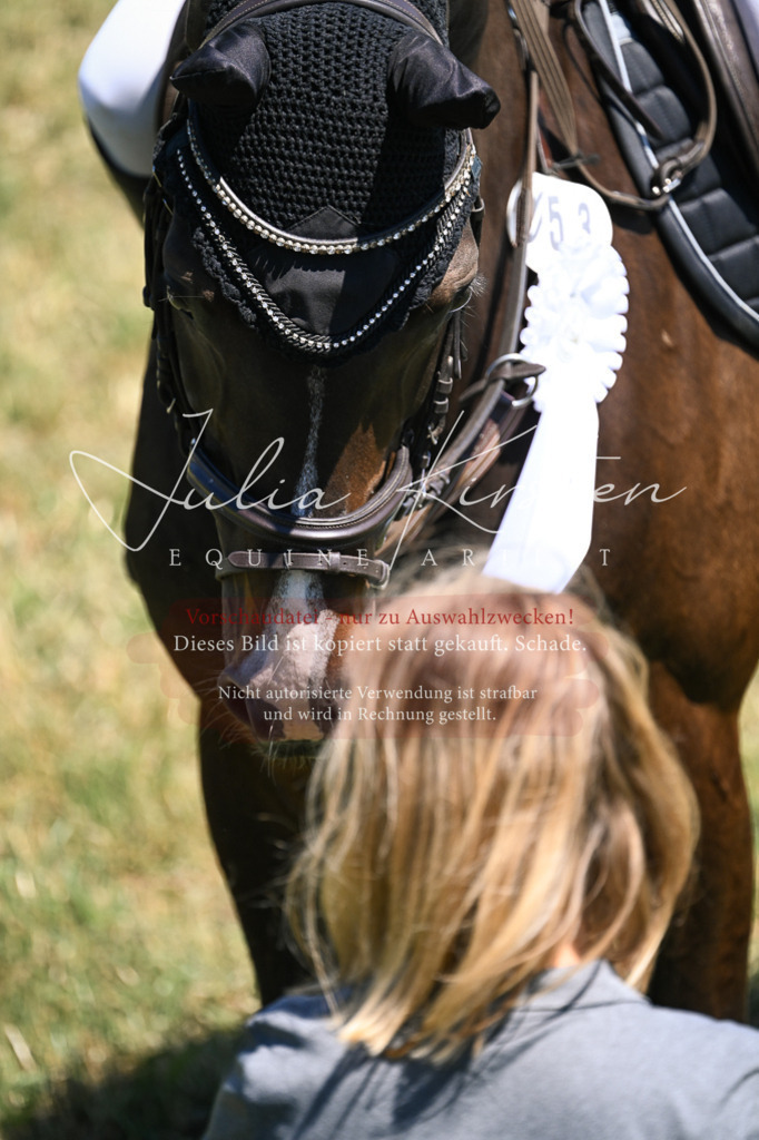 DSC_0058 | Pferde- und Turnierfotografie in Westsachsen. Pferdeportraits, Auftragszeichnungen und intuitive Kunst.