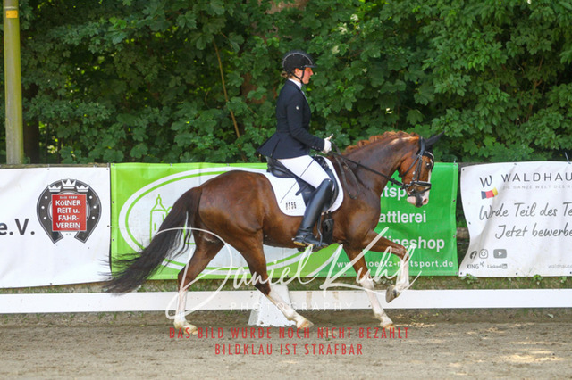 DKP42274 | Turniersportfotografie; Pferdefotografie; Dressurfotografie