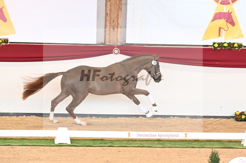 Kat.-Nr. 62 v. Shu Fu_Fischer_2240934 | hf-fotografie - Realisiert mit Pictrs.com