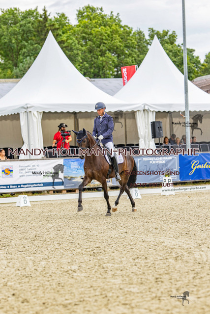 SW 4-98 | mandyhollmannphotographie