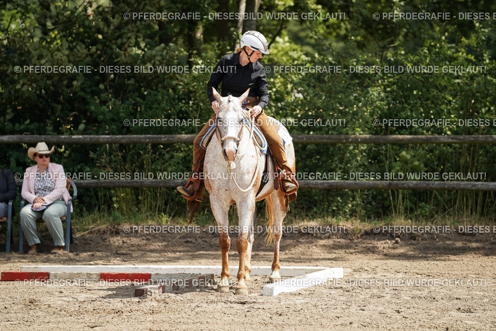 DSC06399 | Pferdegrafie