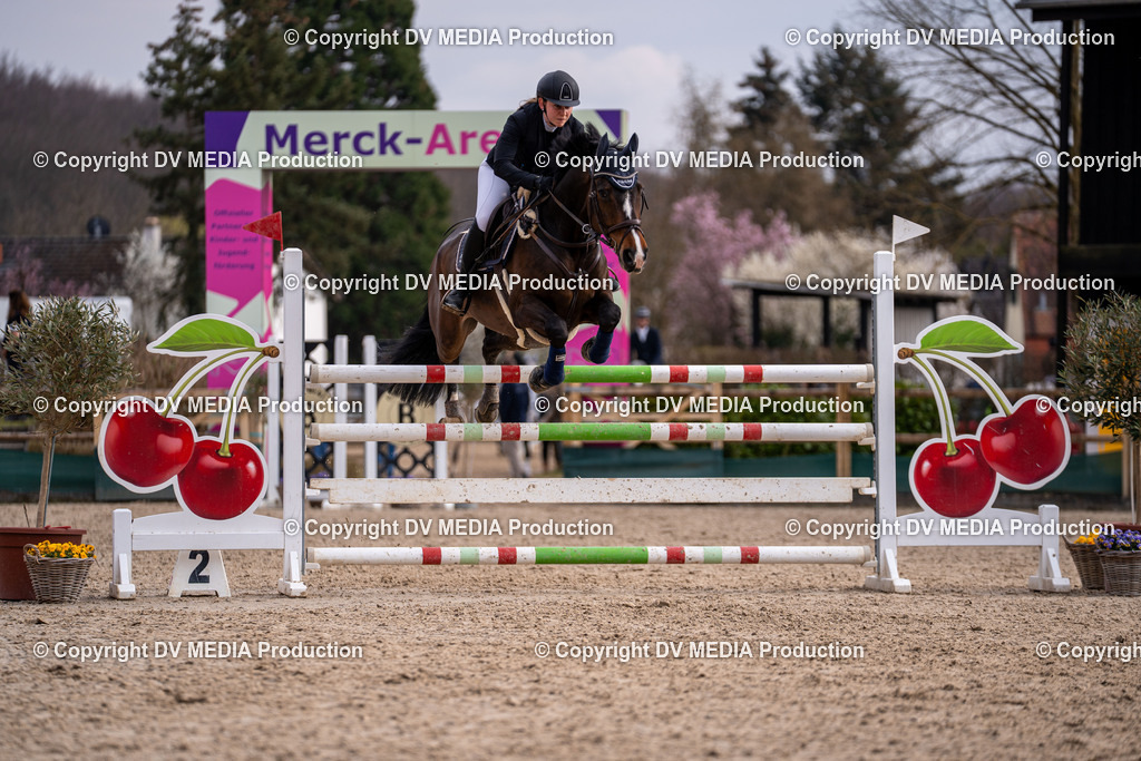 Kranichstein Tag 2-2120 | dv-media-shop - Realisiert mit Pictrs.com