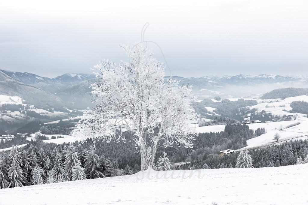 Franzenreith Frost  | Ihre Fotografin im Lungau, ihre Fotografin im Mostviertel, Wandbilder Onlineshop, Imagefotos für Ihr Unternehmen,  - Realisiert mit Pictrs.com