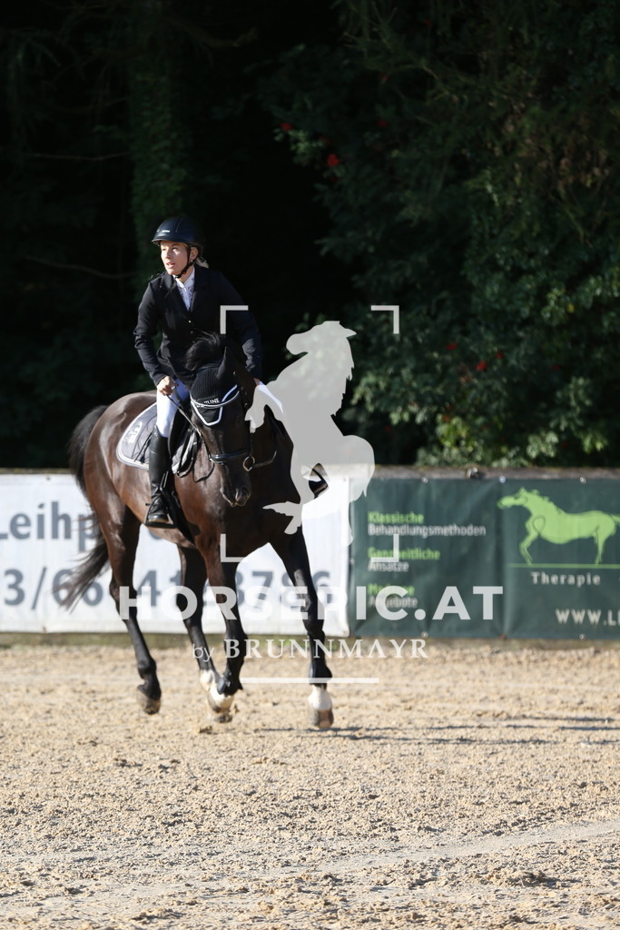 DL2Q7305 | Willkommen bei Brunnmayr - Design & Fotografie – Ihrem Spezialisten für Reitturniere und Pferdeveranstaltungen in Oberösterreich, Salzburg und Bayern! Seit über 17 Jahren sind wir leidenschaftlich dabei.