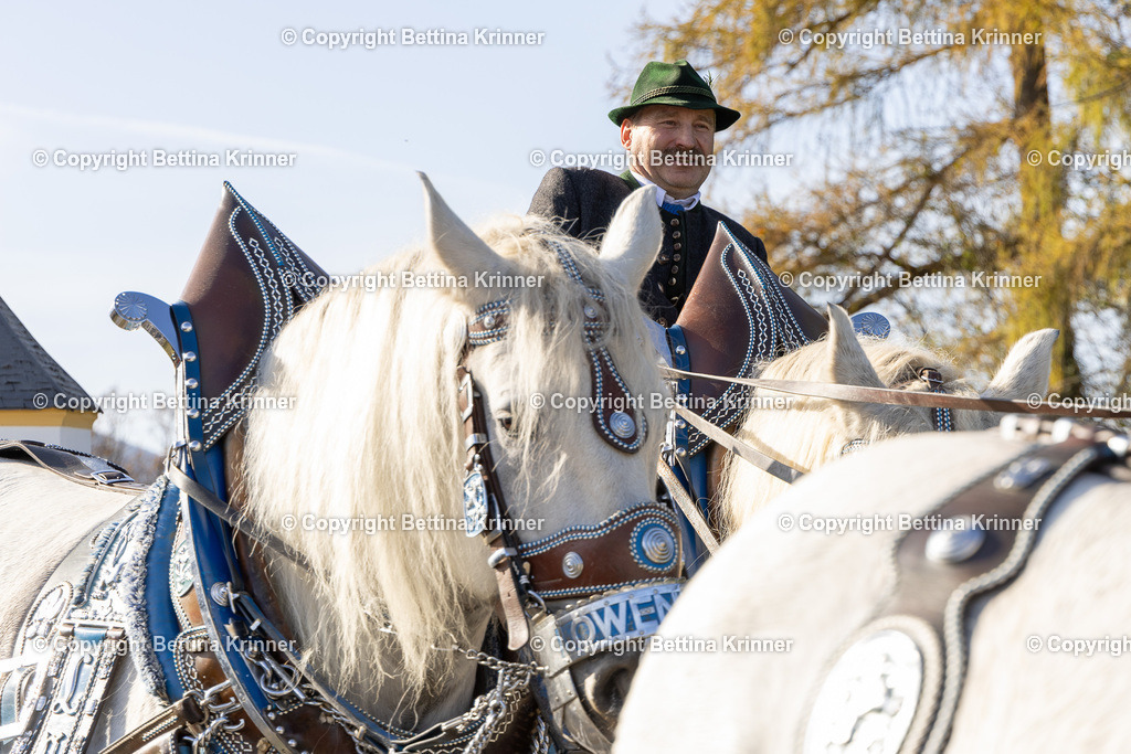 LBT24-1339 | foto-bettina-krinner - Realisiert mit Pictrs.com
