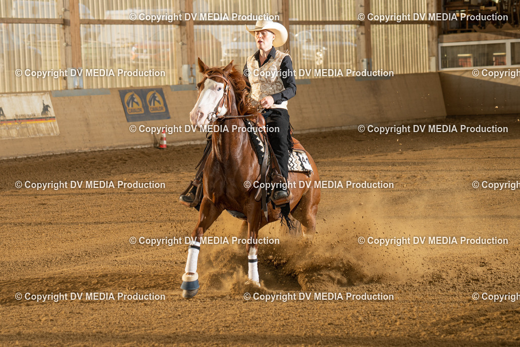 LAU01981 | dv-media-shop - Realisiert mit Pictrs.com