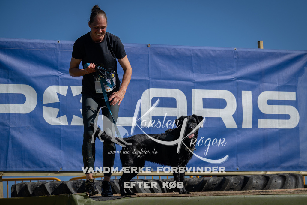 1055_ZZ99628 | kk-dogfotos