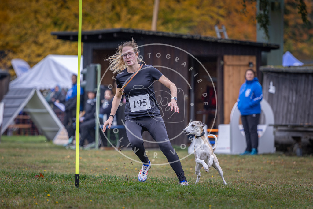 Pfotenfotografie_DV3A0703 | Hundefotografie, Tierfotograf, Pfotenfotografie, Fotoshooting Hund, Hunde Portrait, Hundesport, Hundeportraits, Heideshooting, Hunde, Sportfotograf, Hundefotograf, Turnierhundsport, THS,  - Realisiert mit Pictrs.com