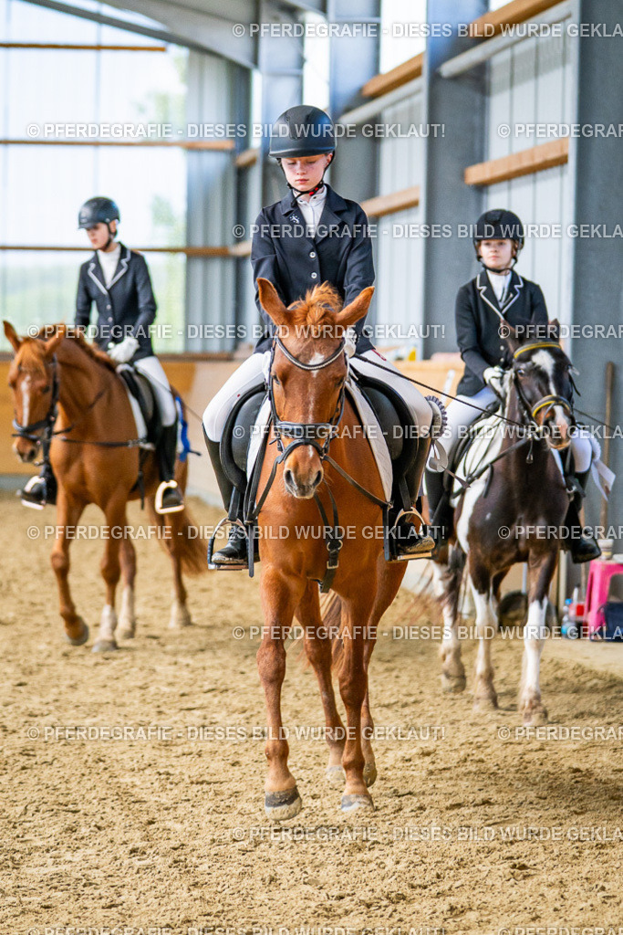 DSC03503 | Pferdegrafie