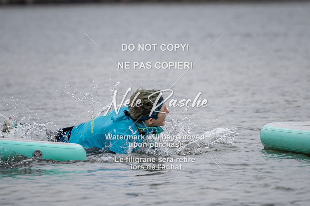 nelerasche_Hulsbeek_Sa1430-1515_90 | nelerasche