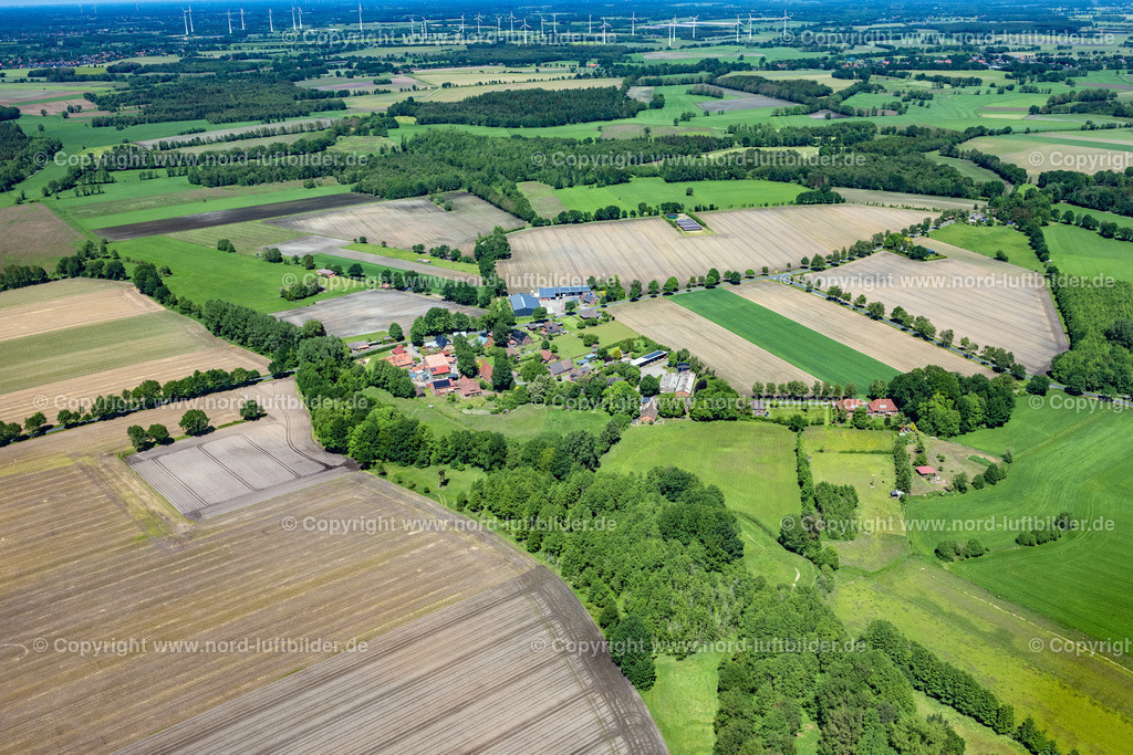 Reith_ELS_7024030622 | REITH 03.06.2022 Baumreihe an einem Feldrand in Reith im Bundesland Niedersachsen, Deutschland. // Row of trees in a field edge in Reith in the state Lower Saxony, Germany. Foto: Martin Elsen