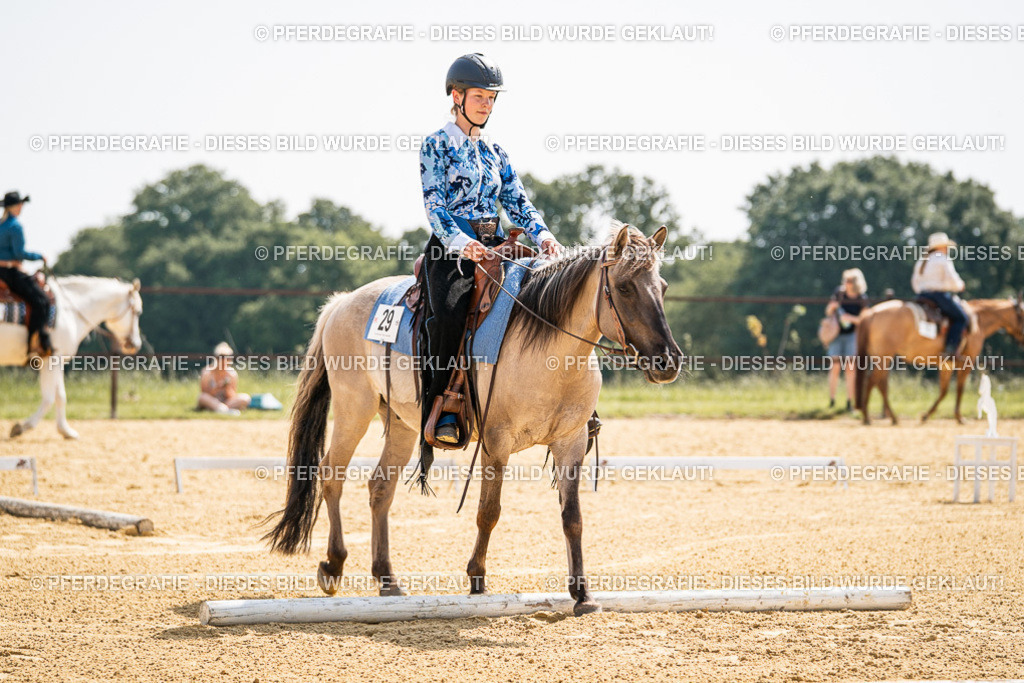 DSC09739 | Pferdegrafie