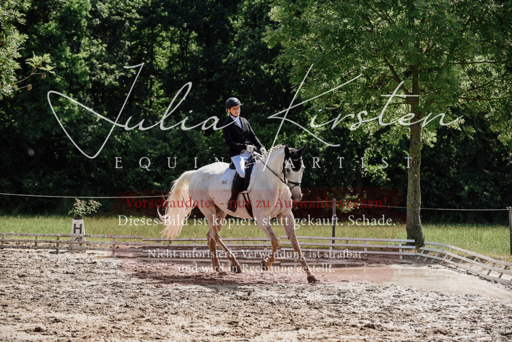 DSC_0409 | Pferde- und Turnierfotografie in Westsachsen. Pferdeportraits, Auftragszeichnungen und intuitive Kunst.