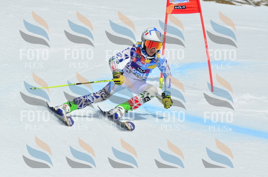 _ELE2145 | holidayphoto