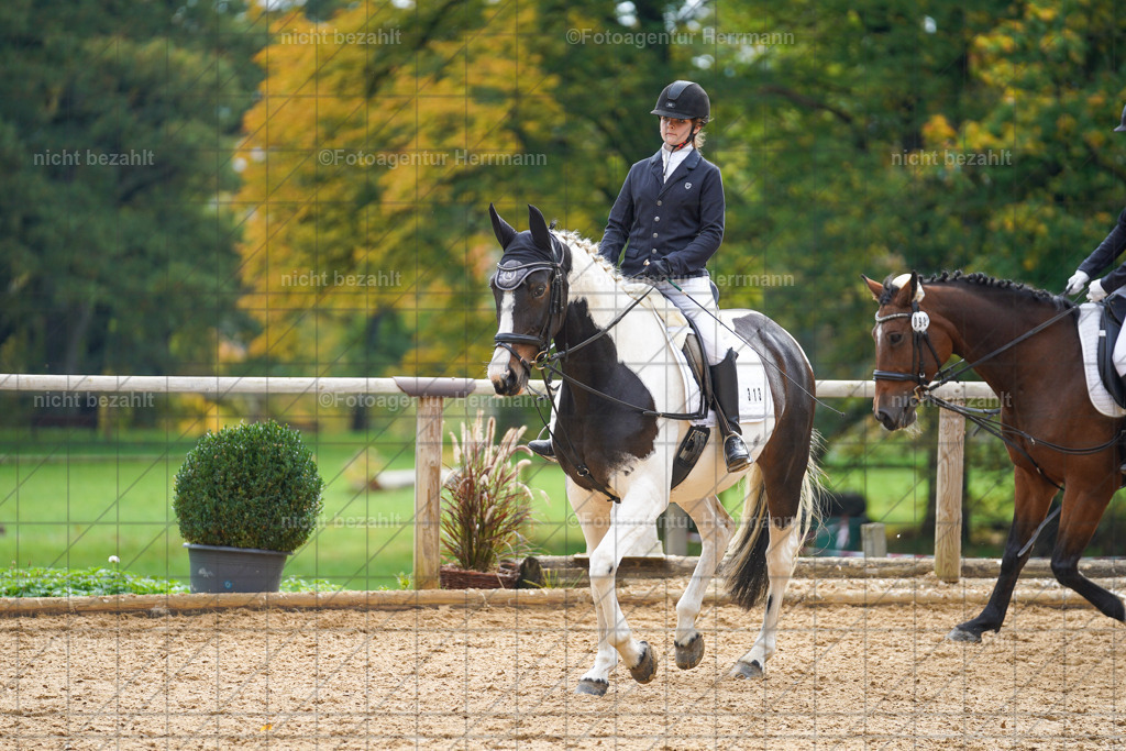 20221008-FAH01198 | Diessen am Ammersee, 2022, Dressur- und Springturnier, Reitsportbilder, Turnierfotografen Bayern, Pferdefotografen, Fotoagentur Herrmann, Turnierbilder