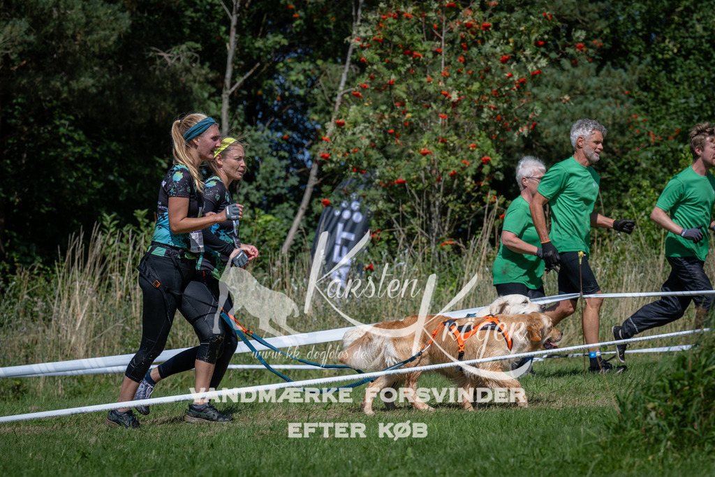 1238_ZZ95891 | kk-dogfotos