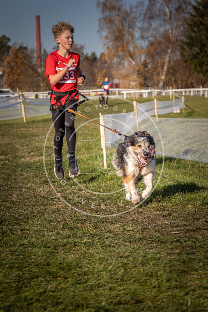 CaniXpix_0L8A7413 | Hundefotografie, Tierfotograf, Pfotenfotografie, Fotoshooting Hund, Hunde Portrait, Hundesport, Hundeportraits, Heideshooting, Hunde, Sportfotograf, Hundefotograf, Turnierhundsport, THS,  - Realisiert mit Pictrs.com