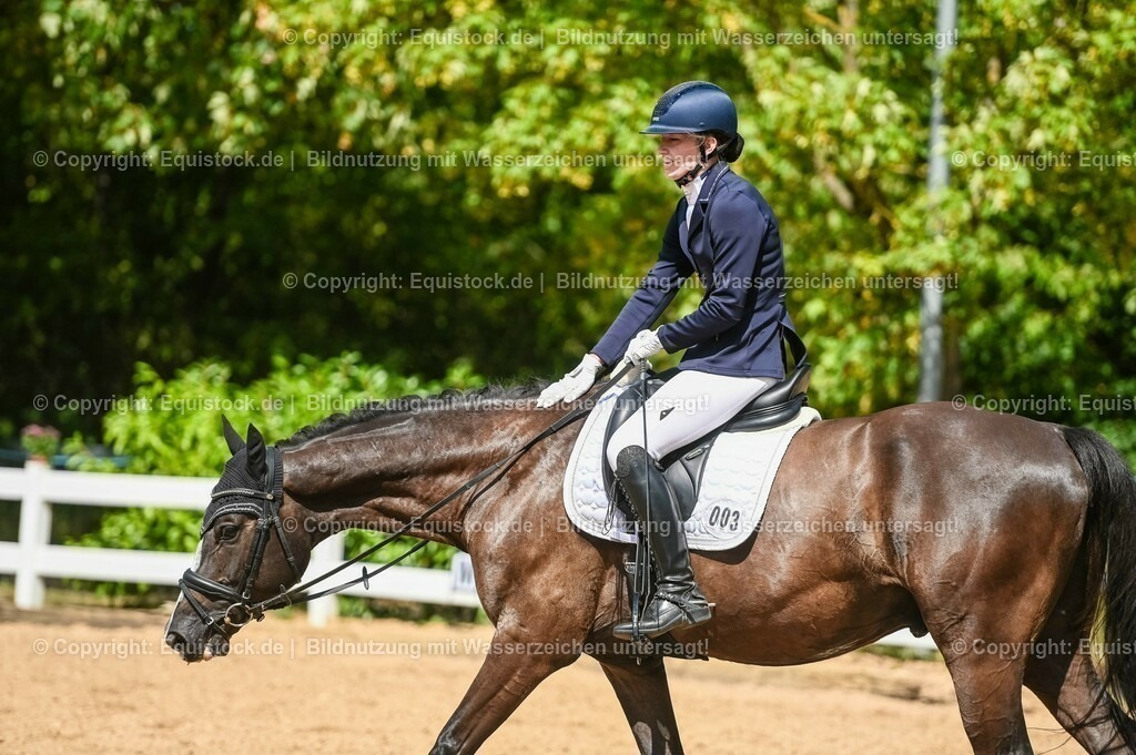 20230715_02_Dressurreiterprüfung Kl.L_0310 | equistock