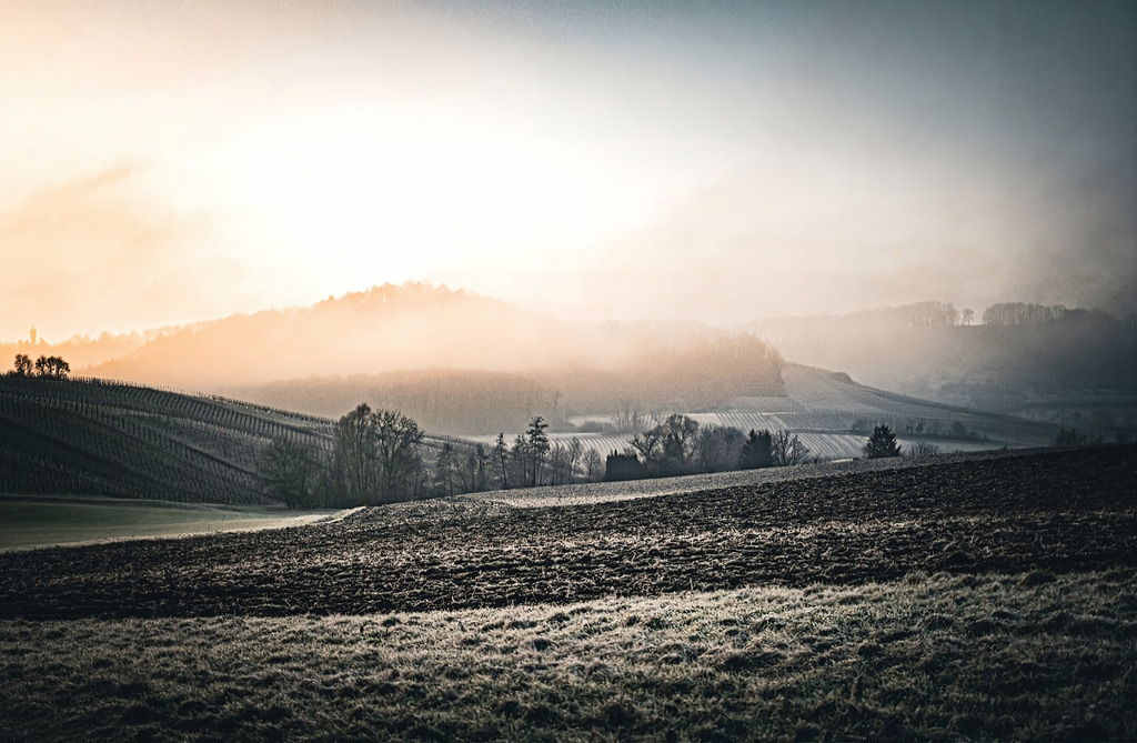 202310111820002023-10-11-19-41-01-372-2 | Kaufen sie online außergewöhnliche Fotografien auf Leinwand Acrylglas Fotoprint Aludibond von holgerweigeltfotografie - Realized with Pictrs.com